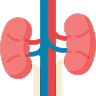 test_image
