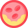 test_image