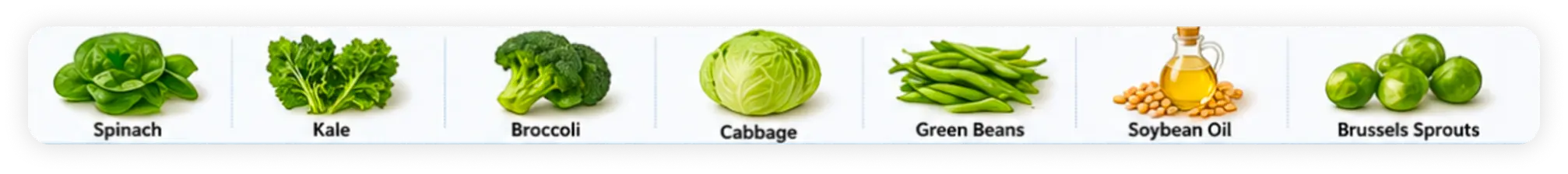Vitamin K (Fat Soluble)